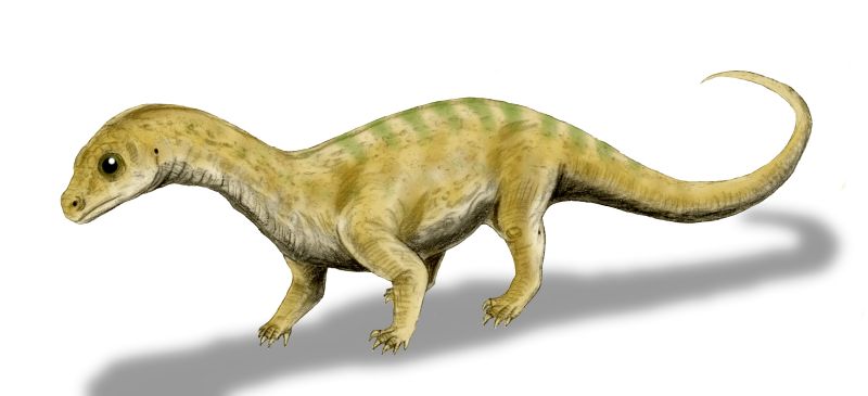 Baby Dinosaurs and Family Life (image credits: wikimedia)