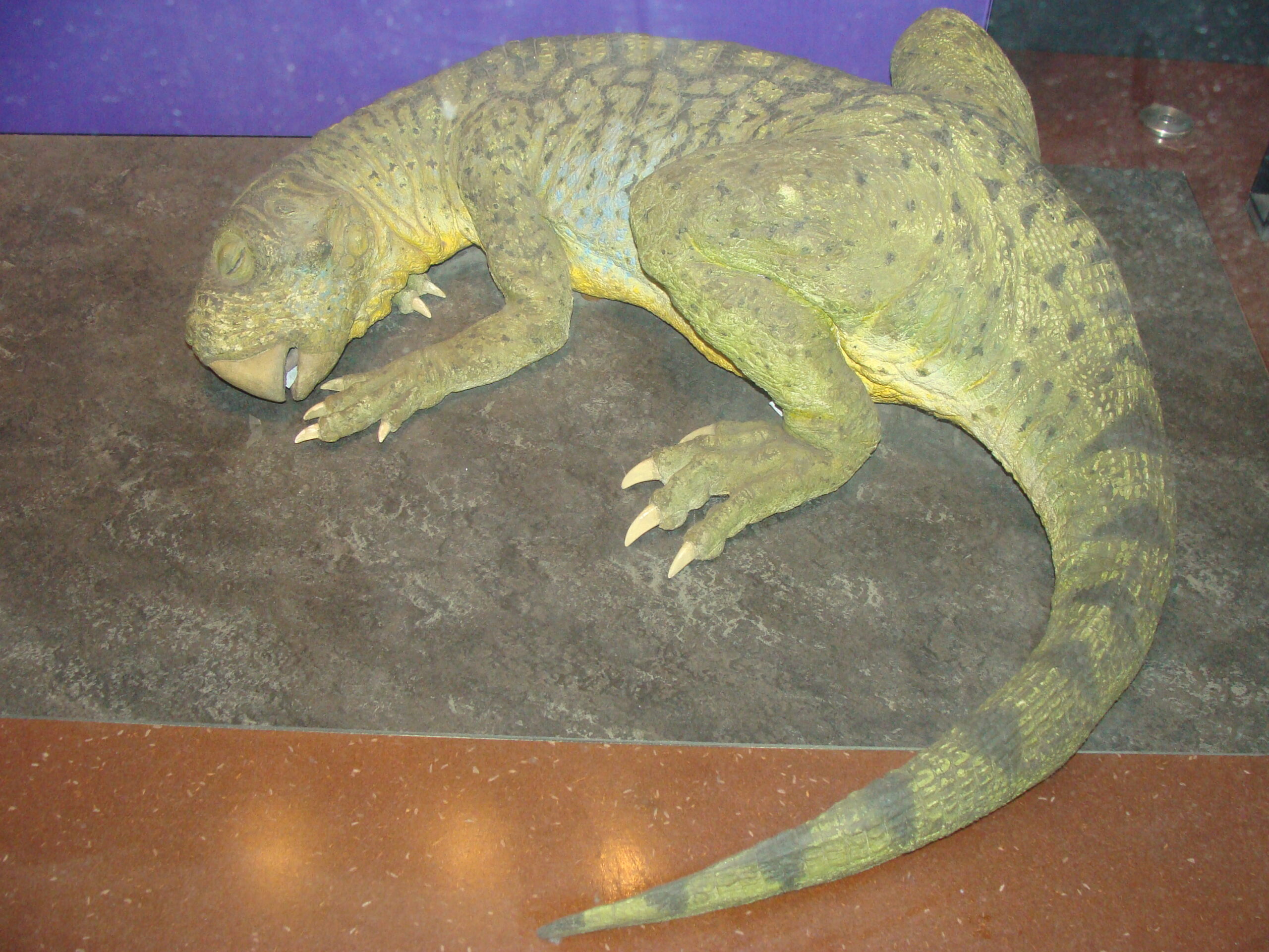 The Ultimate Plant-Eating Machine (image credits: wikimedia)