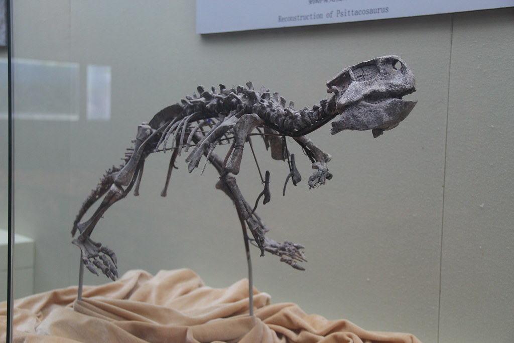 The Social Dinosaur (image credits: flickr)