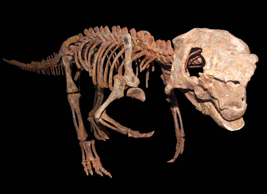 Scientific Controversies and Debates (image credits: flickr)