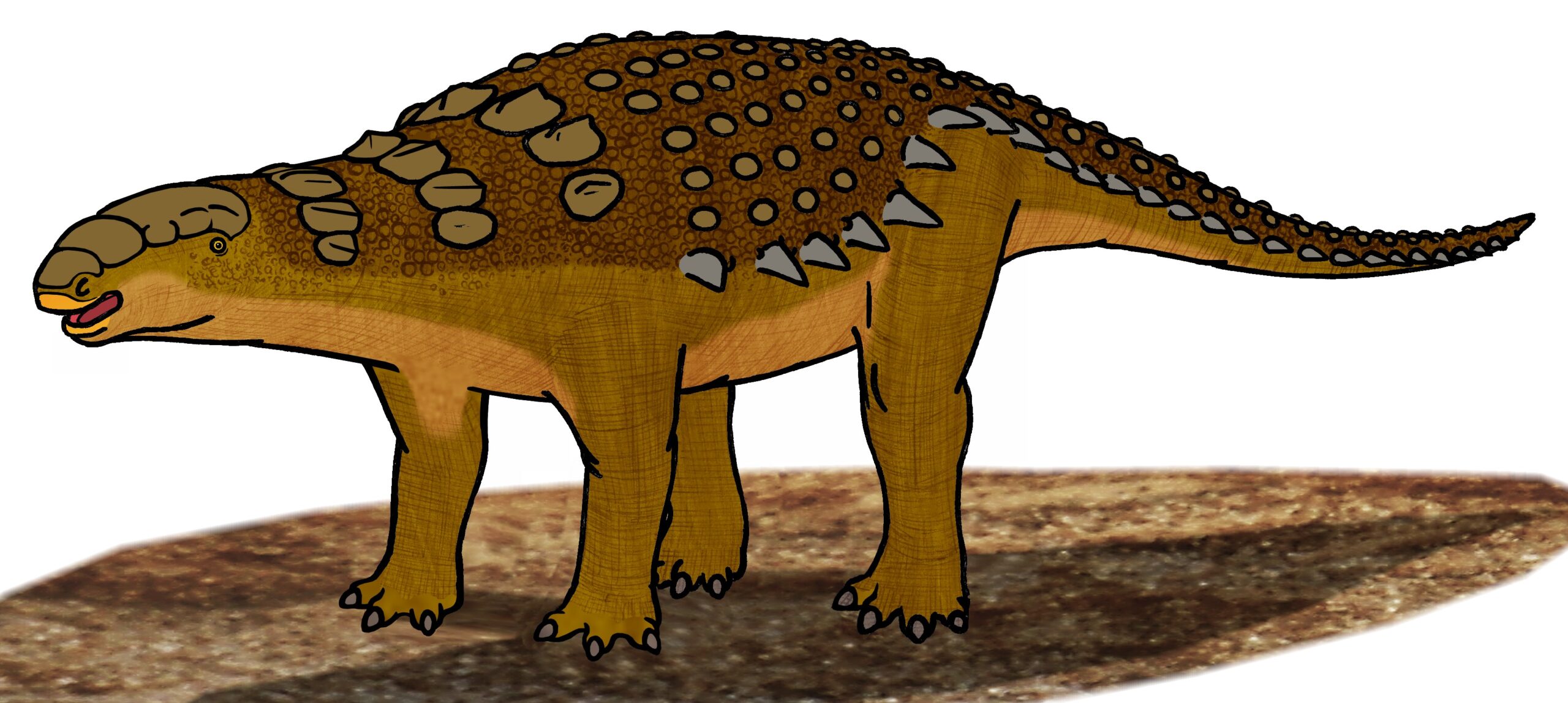 The Defensive Nightmare of Sauropelta (image credits: wikimedia)