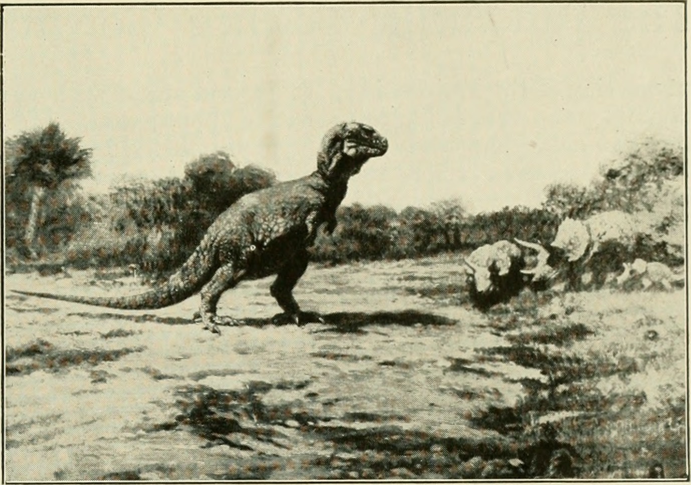 The Mysterious Metabolism of Polar Dinosaurs (image credits: wikimedia)