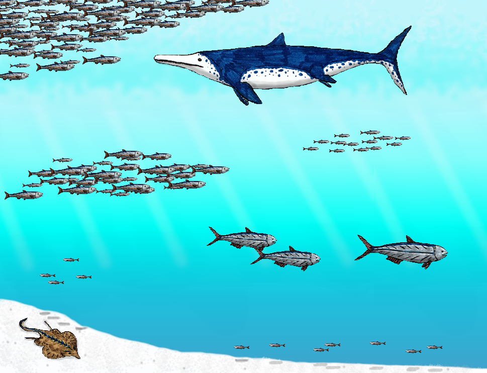 Temnodontosaurus - The Early Ocean Giant (image credits: wikimedia)