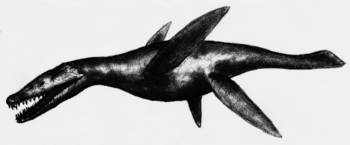 Rhomaleosaurus - The Reef Predator (image credits: wikimedia)