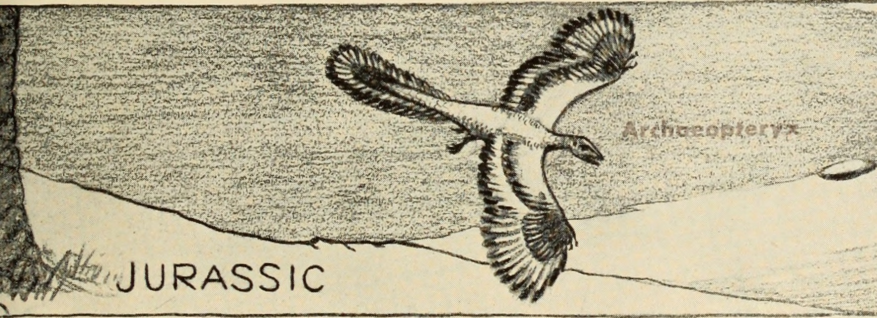 Gigantoraptor: When Size Defied Everything (image credits: wikimedia)