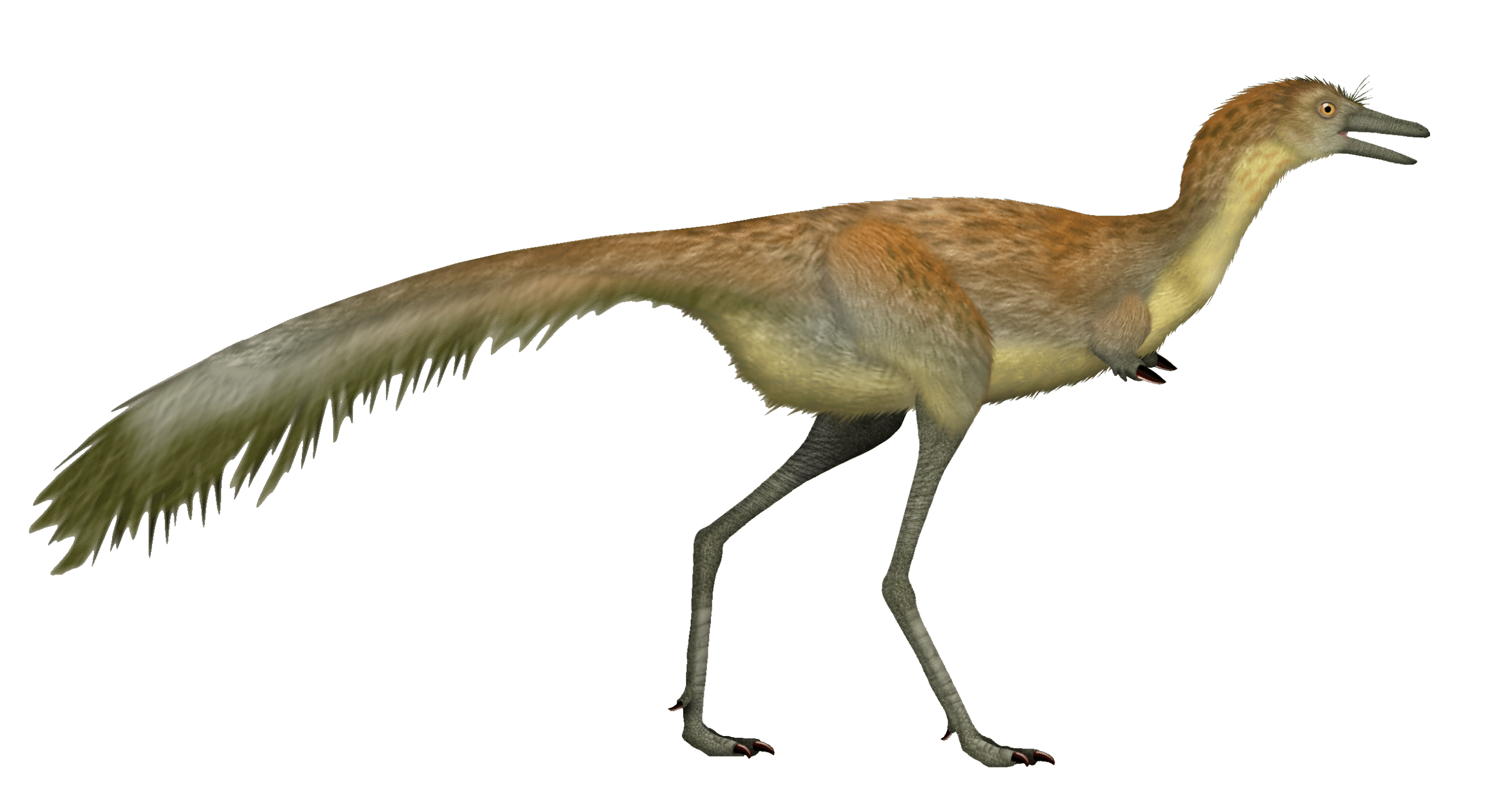 Mononykus: The One-Clawed Wonder (image credits: wikimedia)