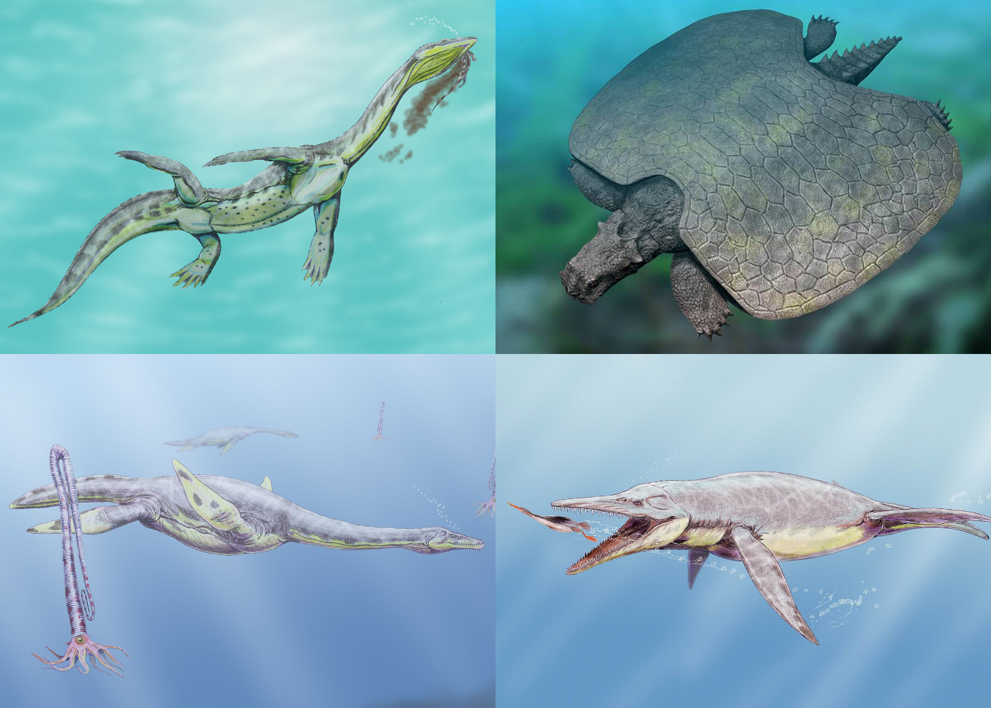 Henodus: The Turtle That Wasn't Quite a Turtle (image credits: wikimedia)