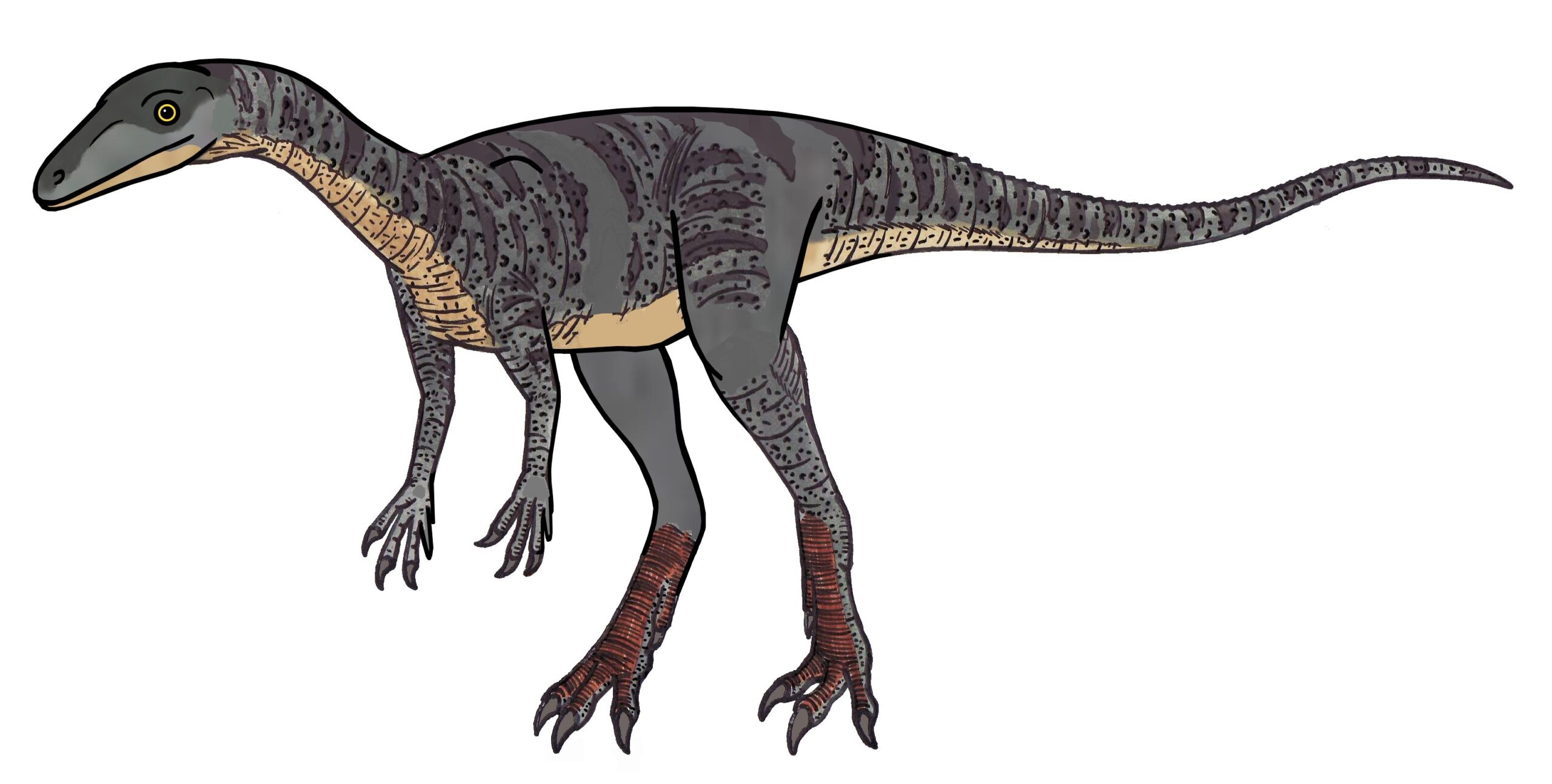 The Legacy of Triassic Innovation (image credits: wikimedia)