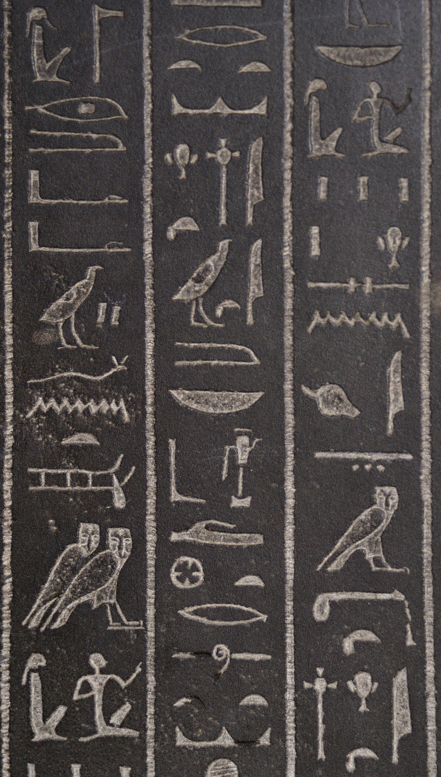 The Technical Marvel of Translation (image credits: wikimedia)