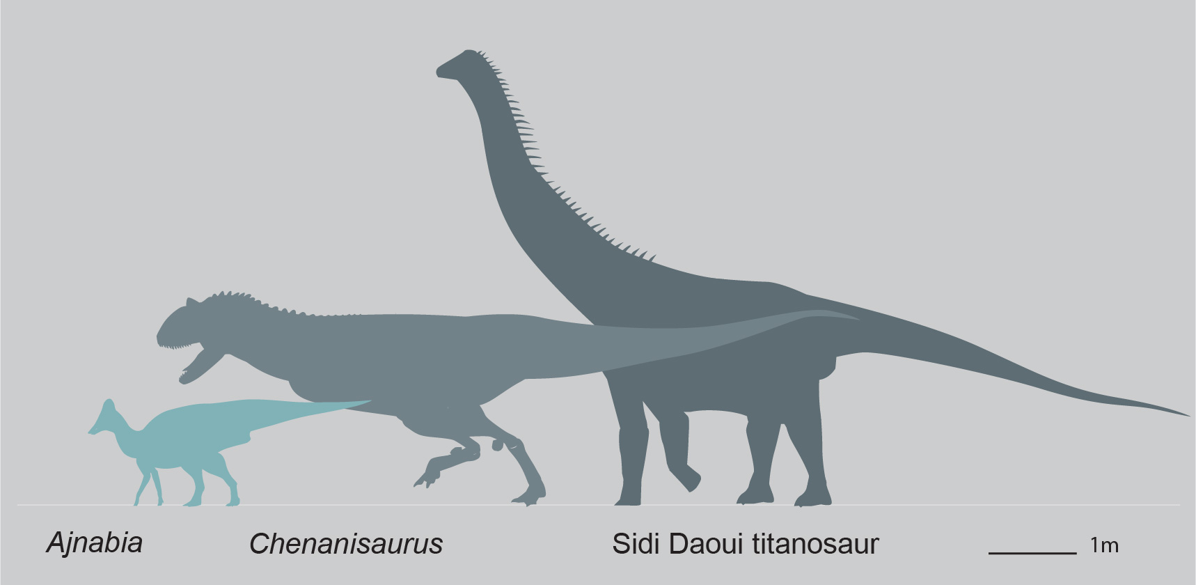 The Great Dinosaur Weight Debate (image credits: wikimedia)