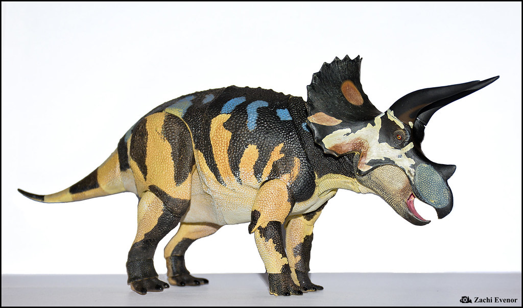 Environmental Adaptations: Climate and Habitat Preferences (image credits: flickr)