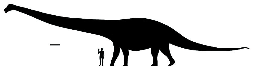 Dreadnoughtus: The Fearless Giant (image credits: By ArcaneHalveKnot, CC BY-SA 4.0, https://commons.wikimedia.org/w/index.php?curid=51709932)