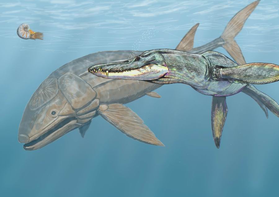 Leedsichthys: The Gentle Giant of Ancient Seas (image credits: wikimedia)