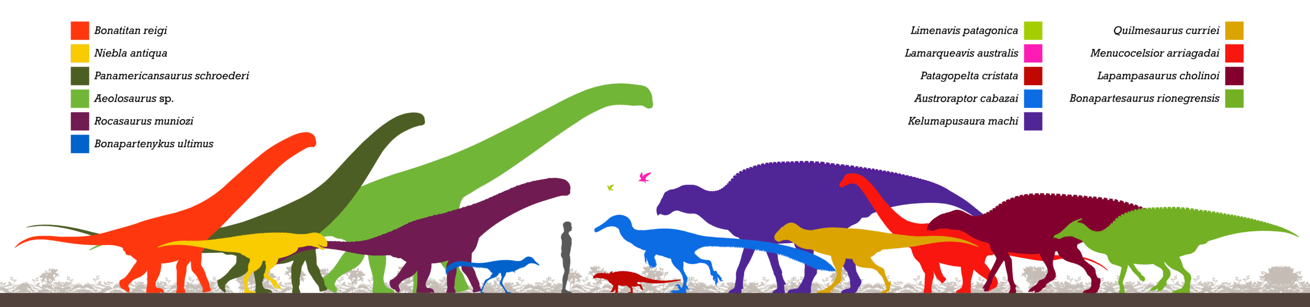 The Controversy: How Heavy Were They Really? (image credits: wikimedia)