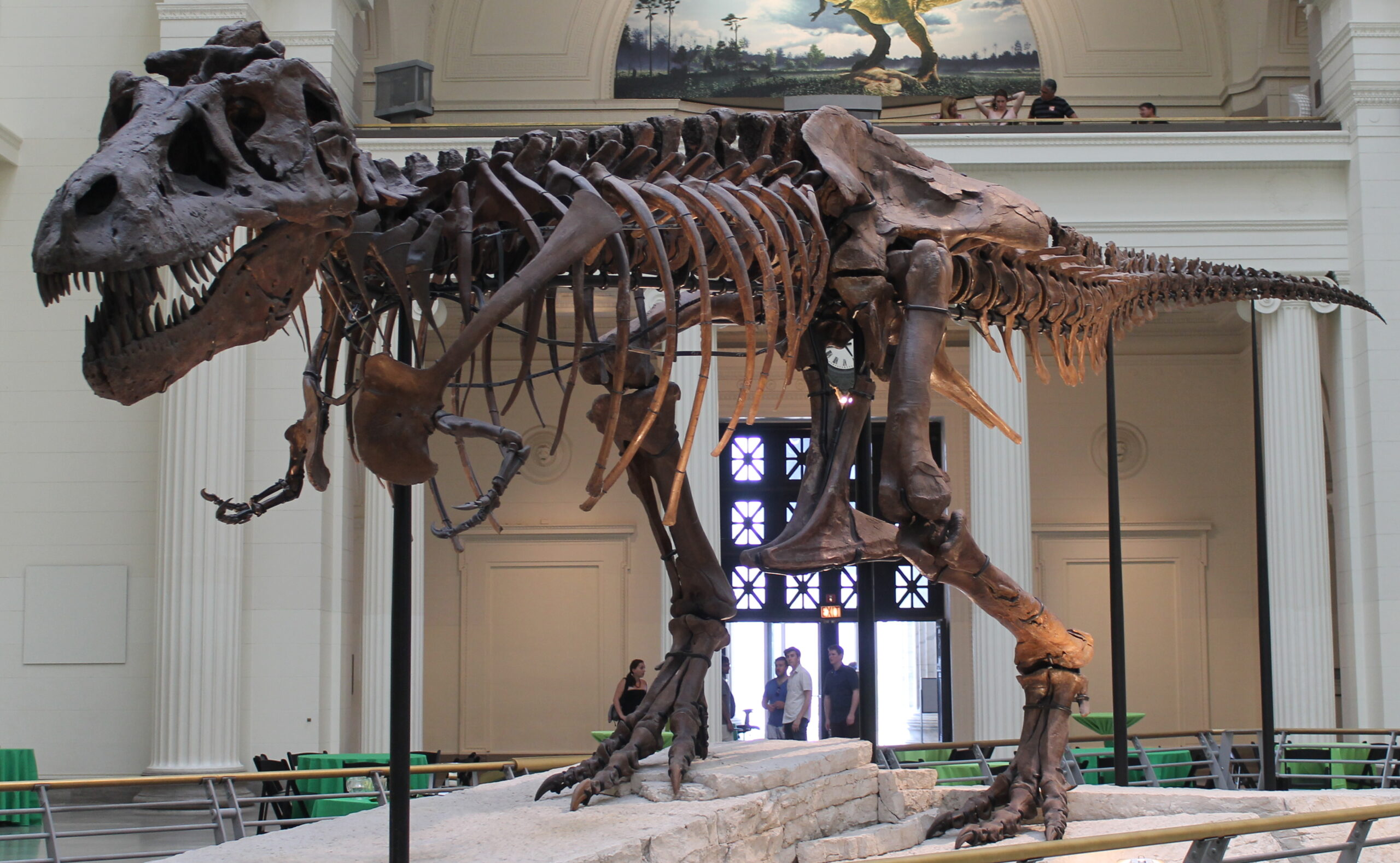 The Discovery That Changed Paleontology Forever (image credits: wikimedia)