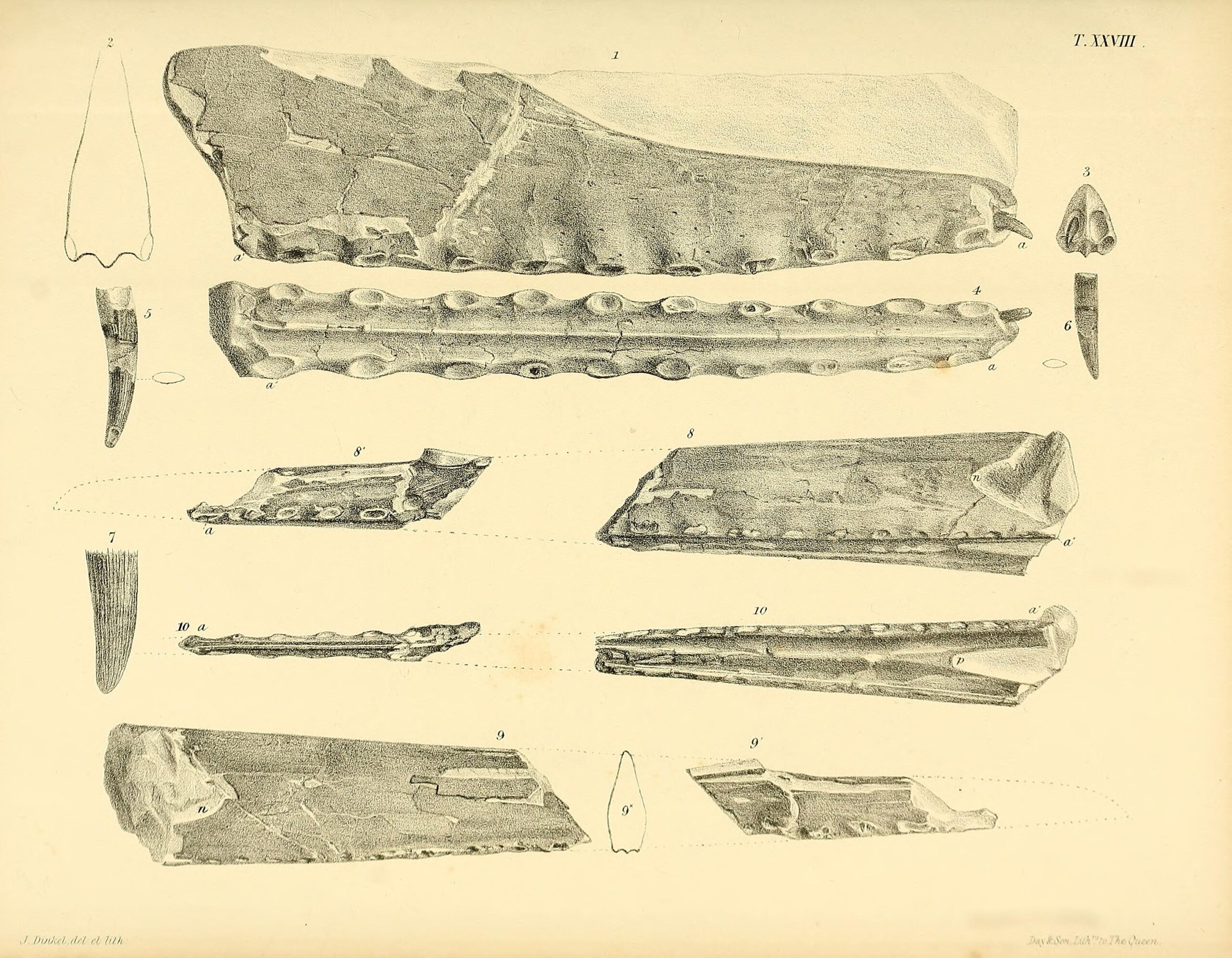 Advanced Technology Reveals Hidden Details (image credits: wikimedia)