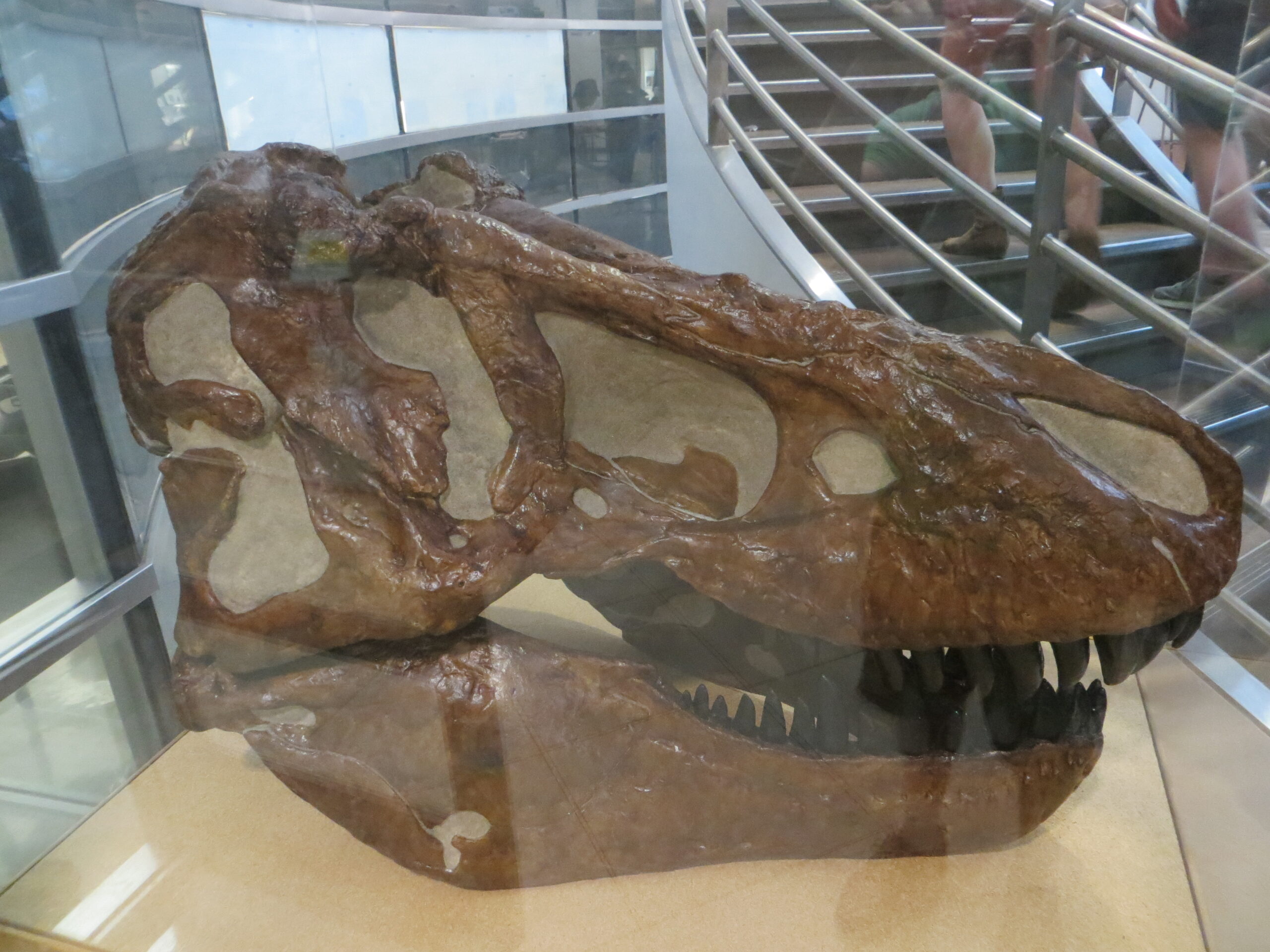 Scientific Publications That Sue Inspired (image credits: wikimedia)