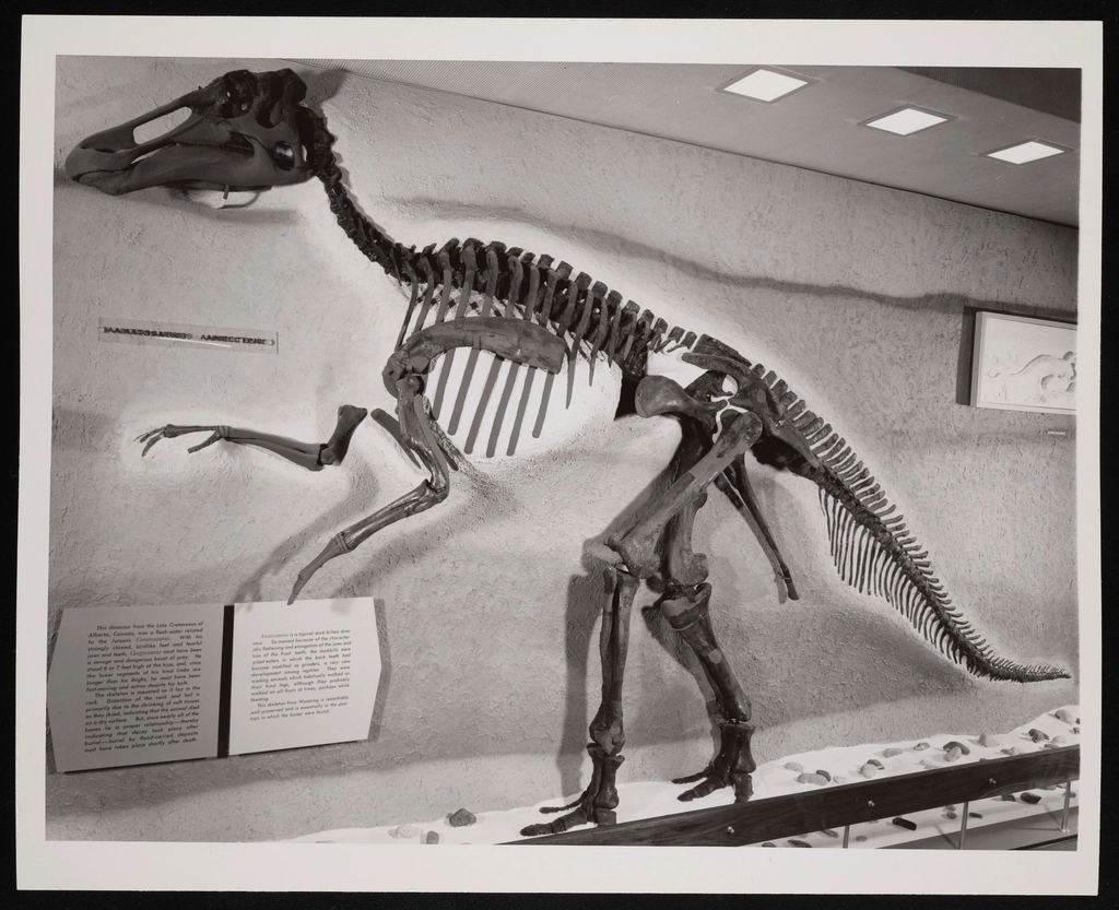 Modern Technology Reveals Ancient Secrets (image credits: rawpixel)