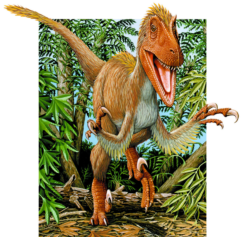 How Feathers Evolved Before Flight (image credits: flickr)