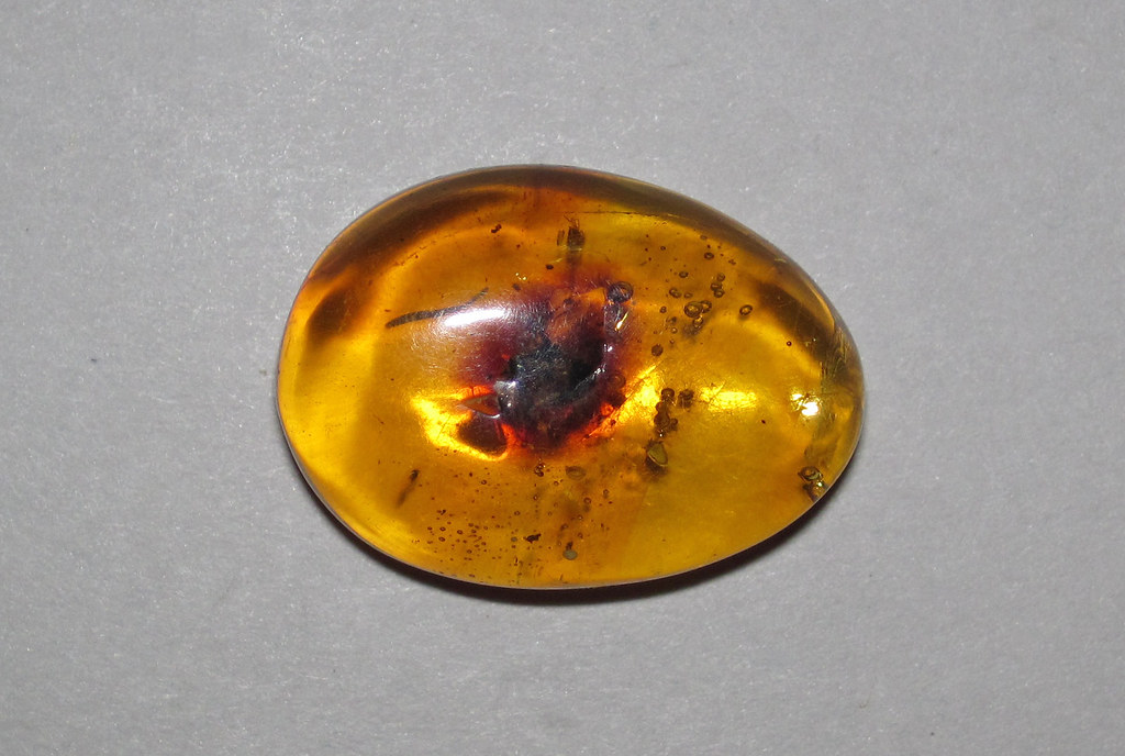 The Great Pollinator Partnership (image credits: flickr)