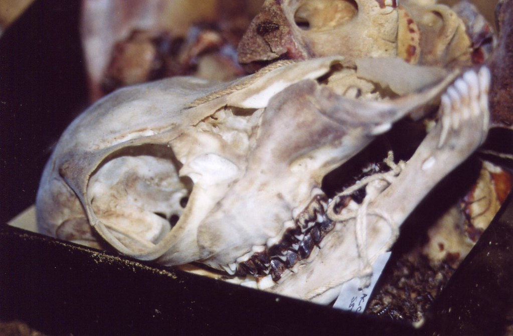 Timeline: First 24 Hours (image credits: flickr)