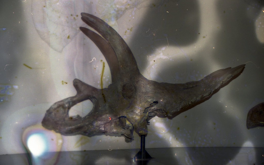 Month One: Visible Changes Begin (image credits: flickr)