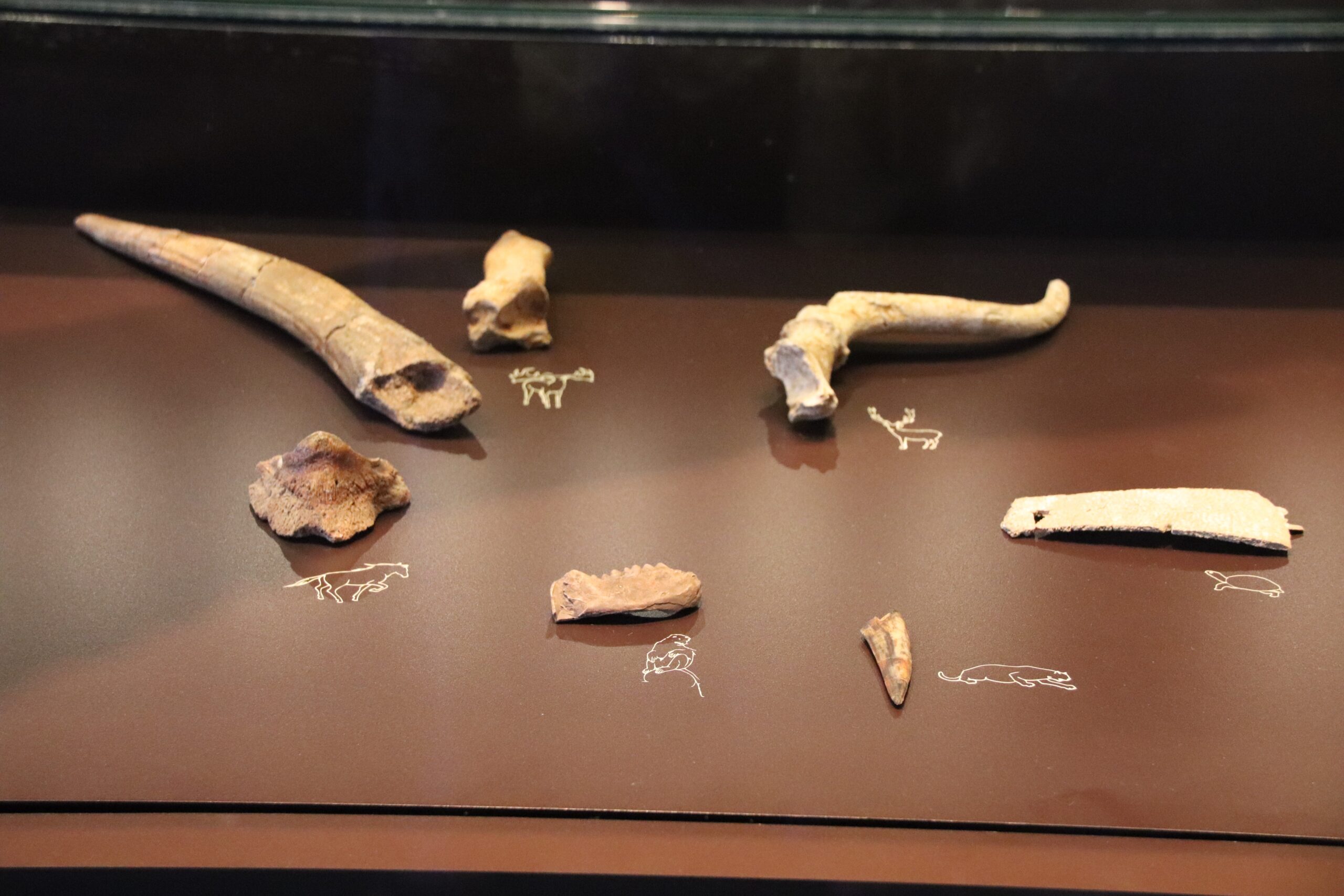 The Century Challenge (image credits: wikimedia)