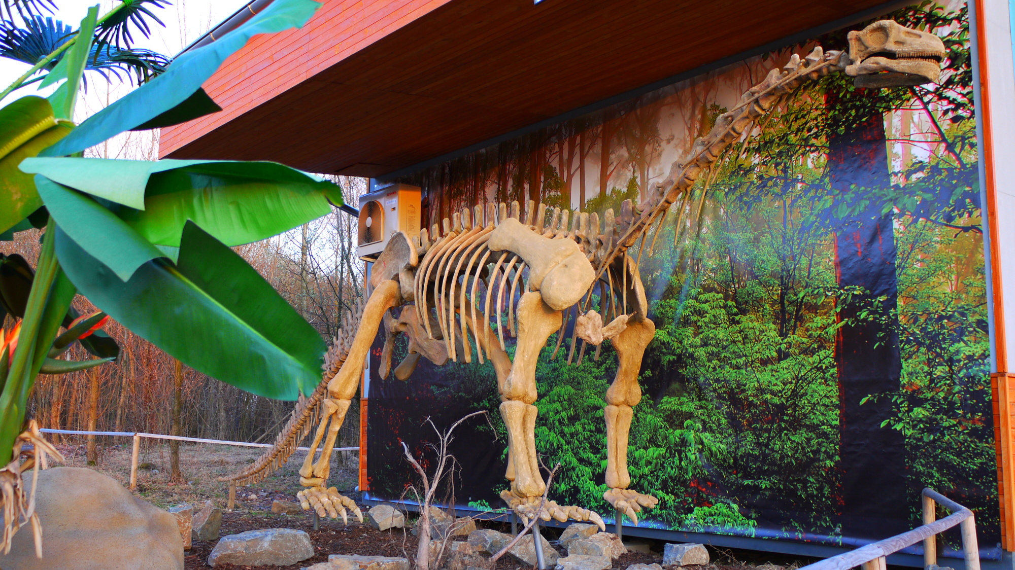 The Gentle Giants: Shunosaurus and Its Massive Relatives (image credits: wikimedia)