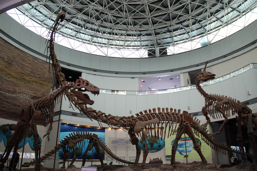 The Living Legacy of Ancient Giants (image credits: flickr)