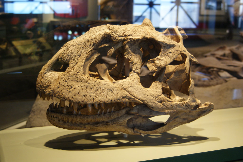 Survival of the Hungriest: Environmental Pressures (image credits: flickr)