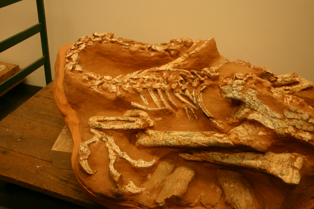 The Truth About Dinosaur Bone Composition (image credits: flickr)
