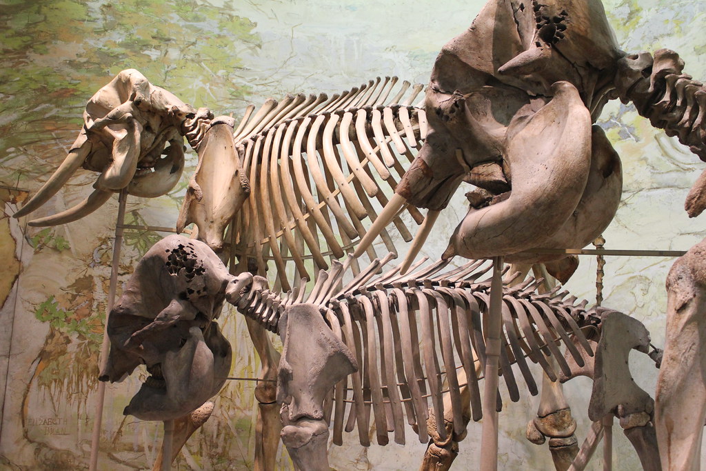 Underground Demons and Evil Spirits (image credits: flickr)