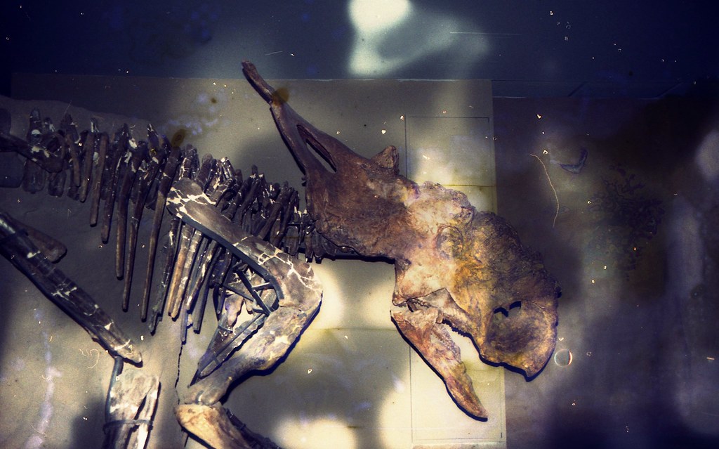 Failed Experiments of Creation (image credits: flickr)