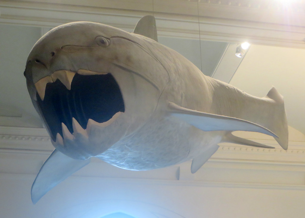 The Science Behind Bone Armor (image credits: flickr)