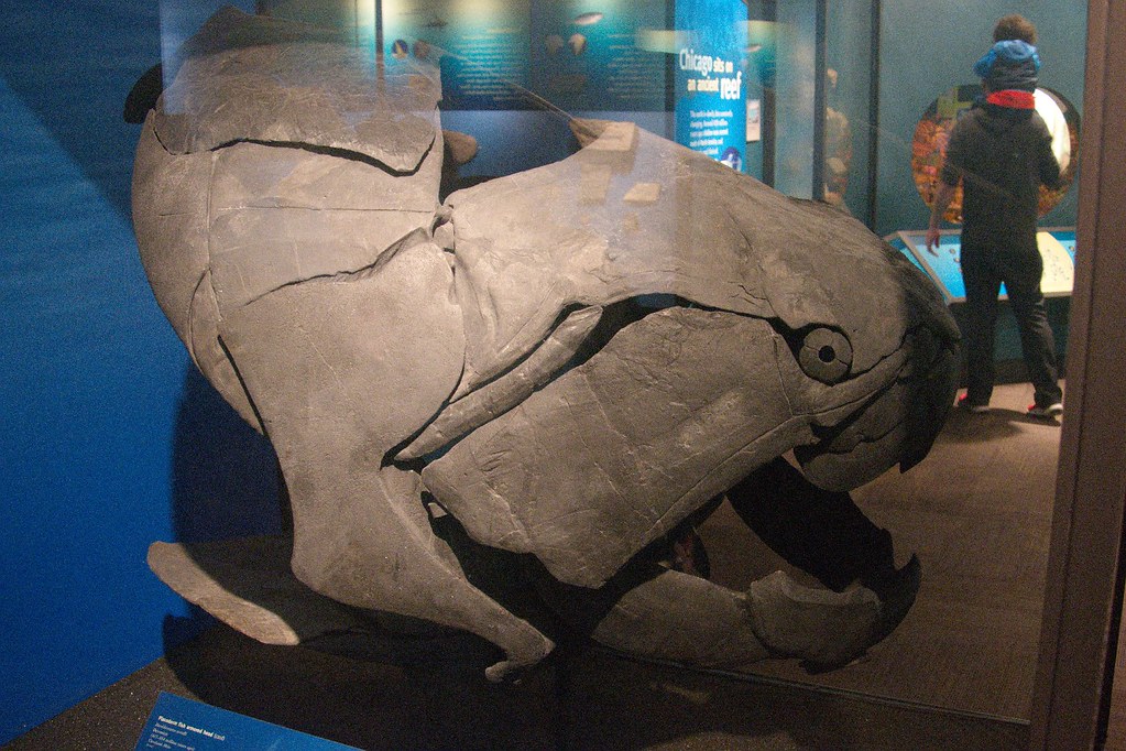 Swimming in Heavy Metal (image credits: flickr)