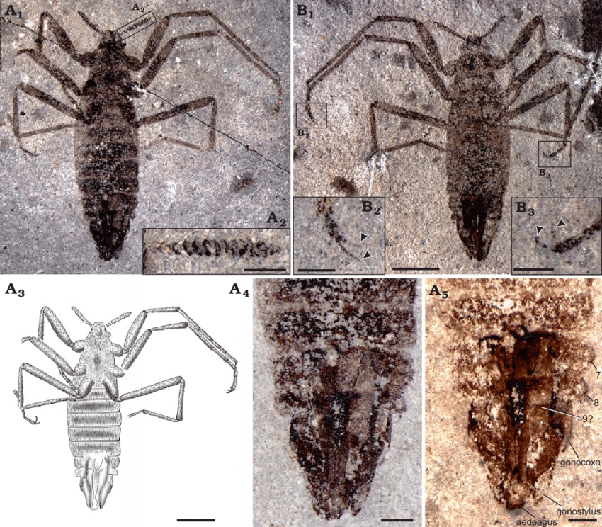 The Legacy of Tiny Terrors (image credits: wikimedia)