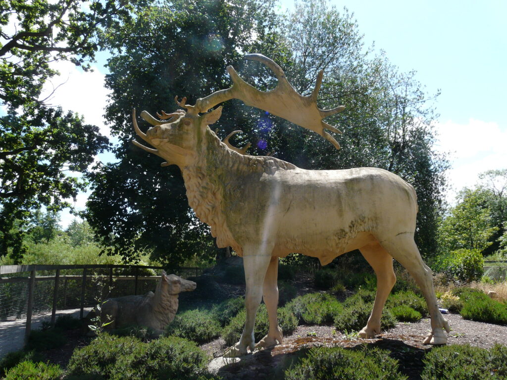 5 Enormous Animals You Won't Believe Actually Existed