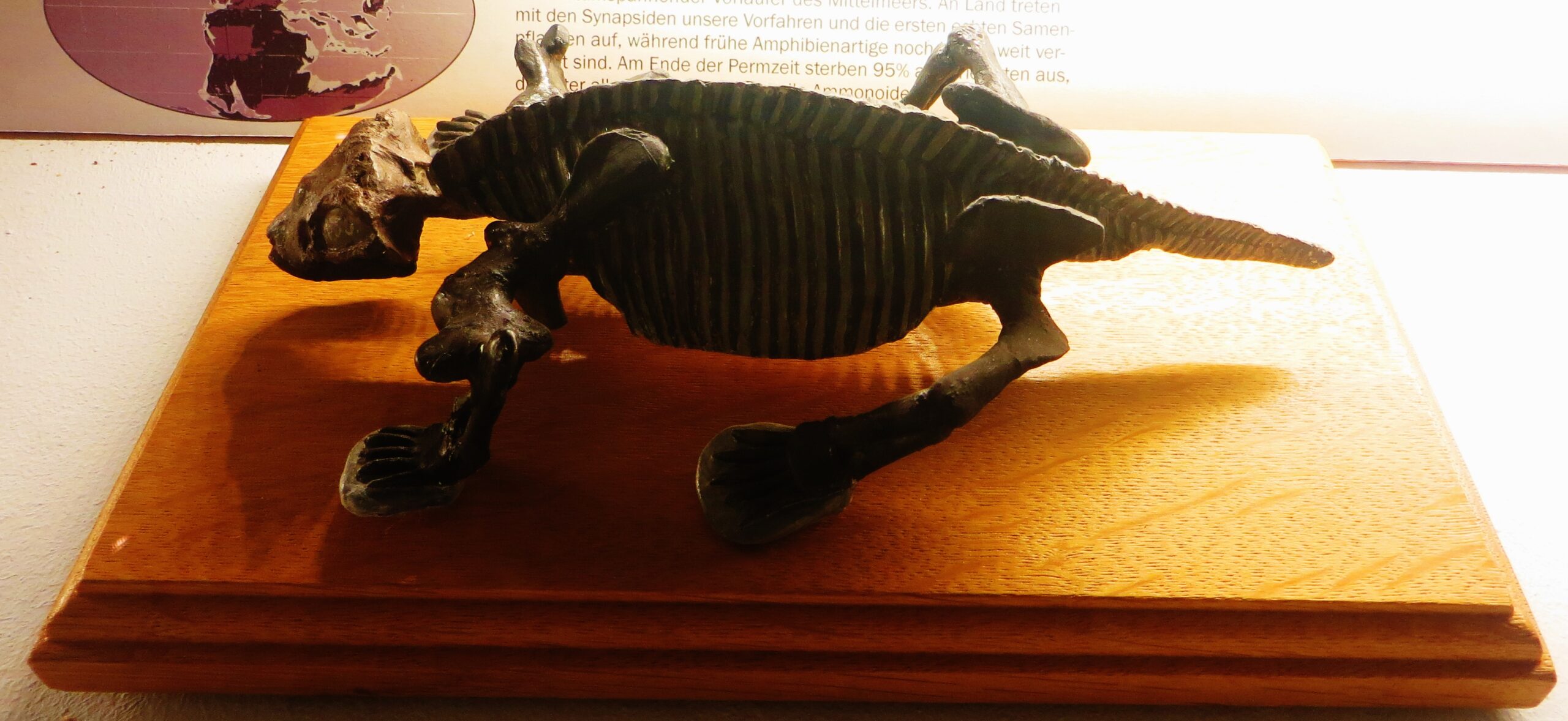 The Evolutionary Lessons We're Learning (image credits: wikimedia)