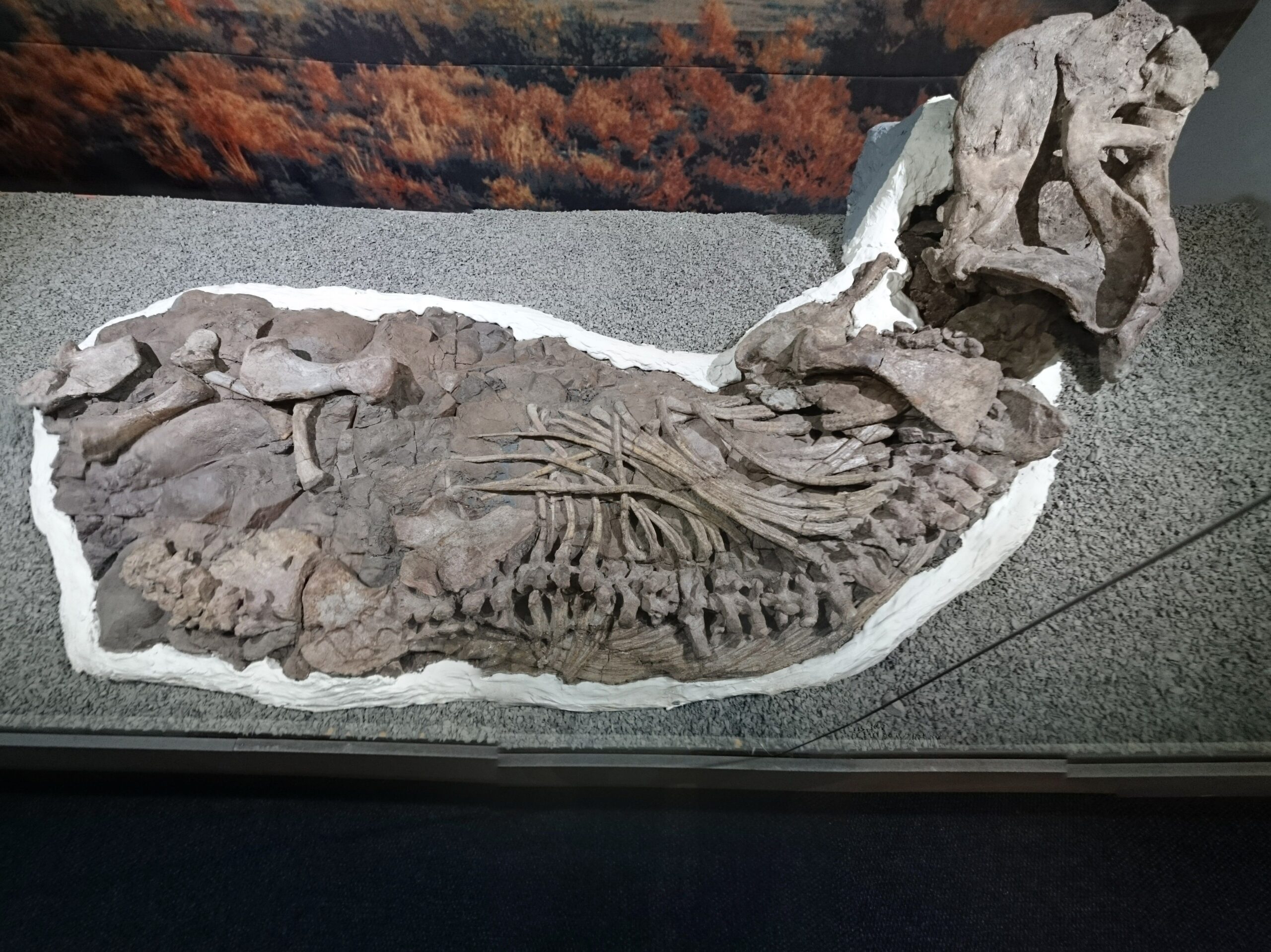 Why This Changes Everything (image credits: wikimedia)