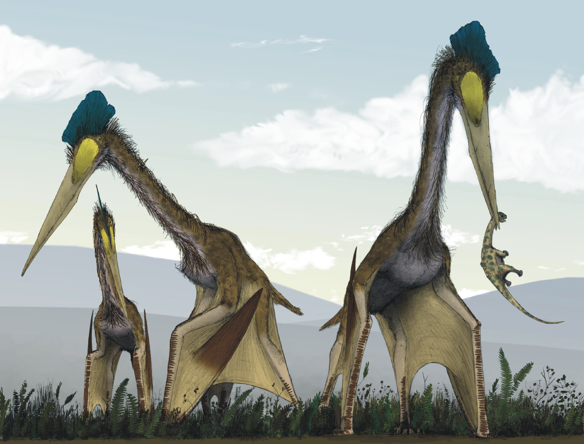 Meet Quetzalcoatlus – The Sky King of Prehistory (image credits: wikimedia)