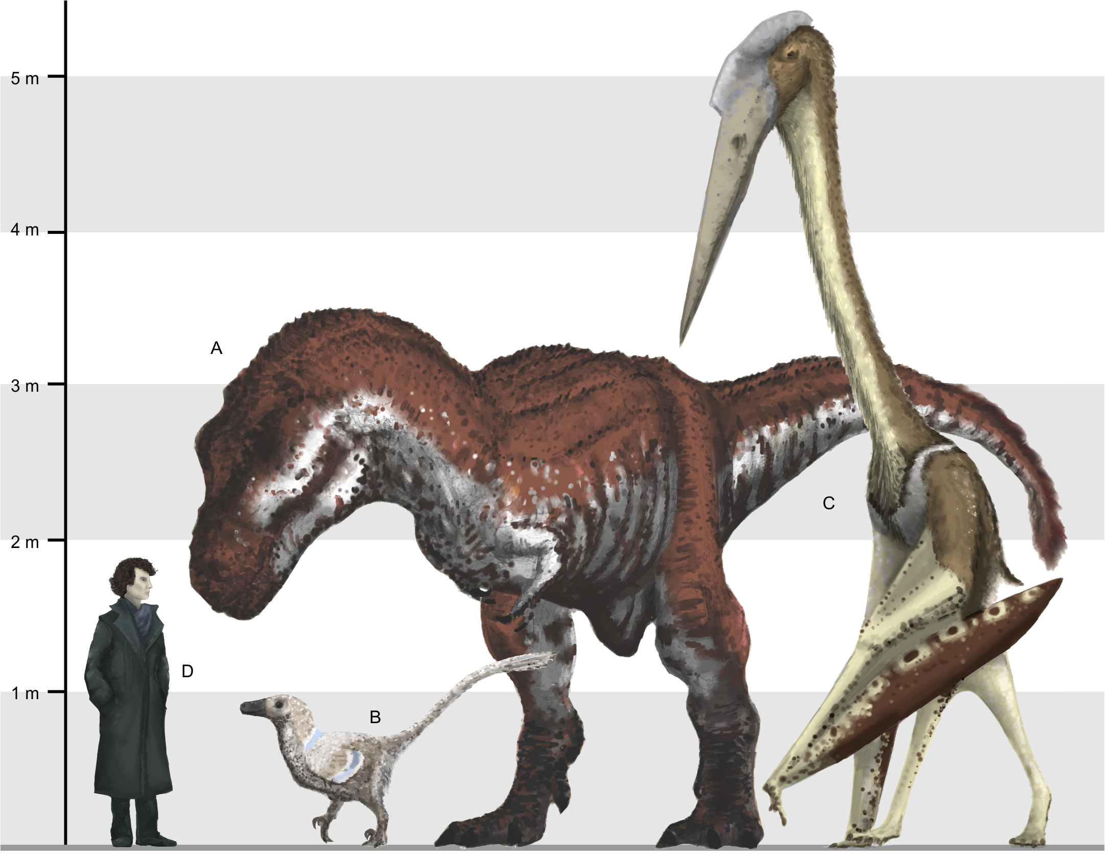 Comparing Giants – Quetzalcoatlus vs Modern Aircraft (image credits: wikimedia)