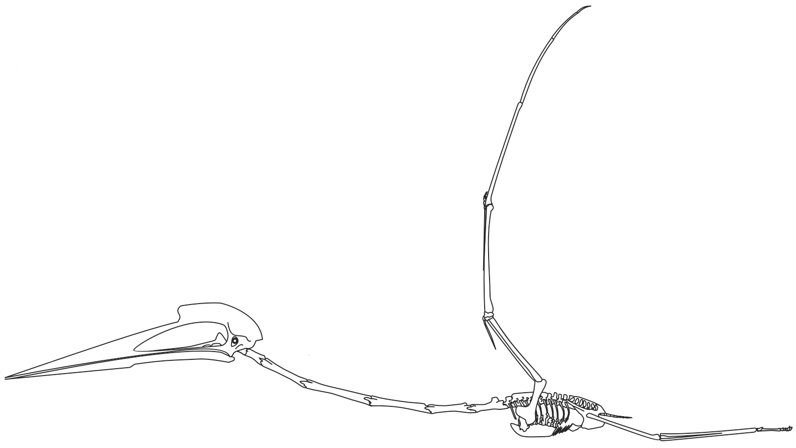 The Extinction That Ended the Age of Giants (image credits: wikimedia)