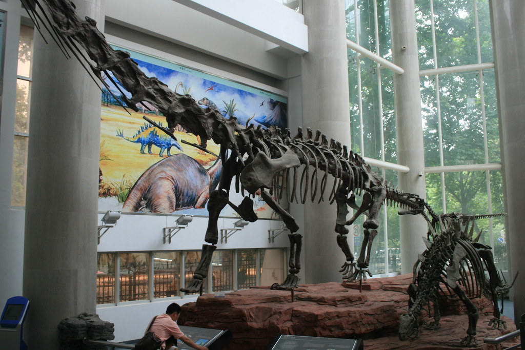 The Sichuan Sauropod Legacy (image credits: flickr)
