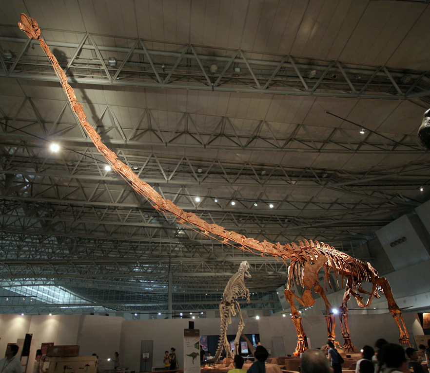 Star Specimens That Captivate Millions (image credits: wikimedia)