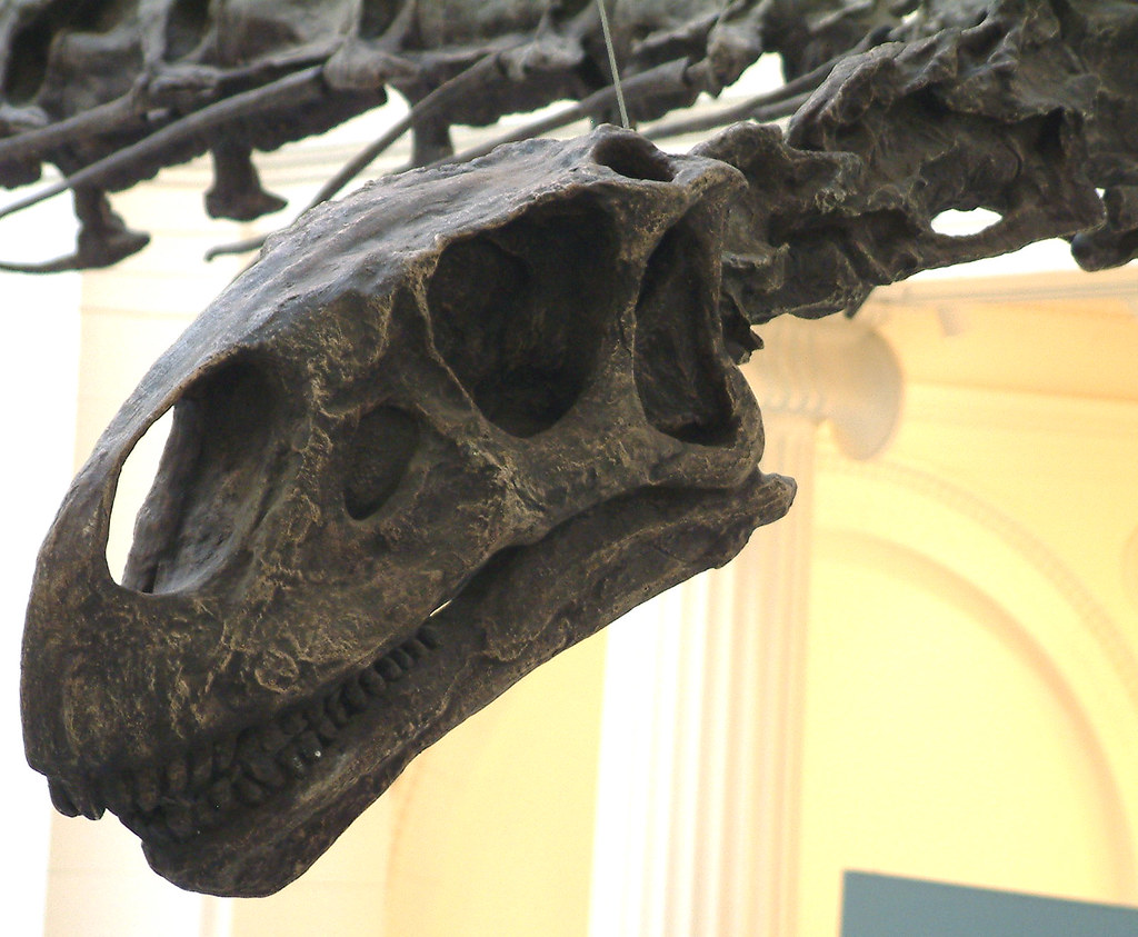 Ecosystem Reconstruction and Environmental Context (image credits: flickr)