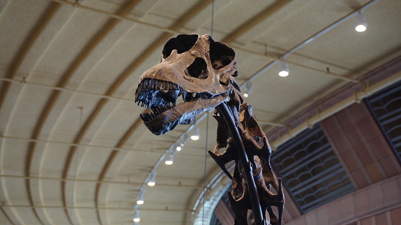 Biomechanical Wonders of Sauropod Anatomy (image credits: pixabay)