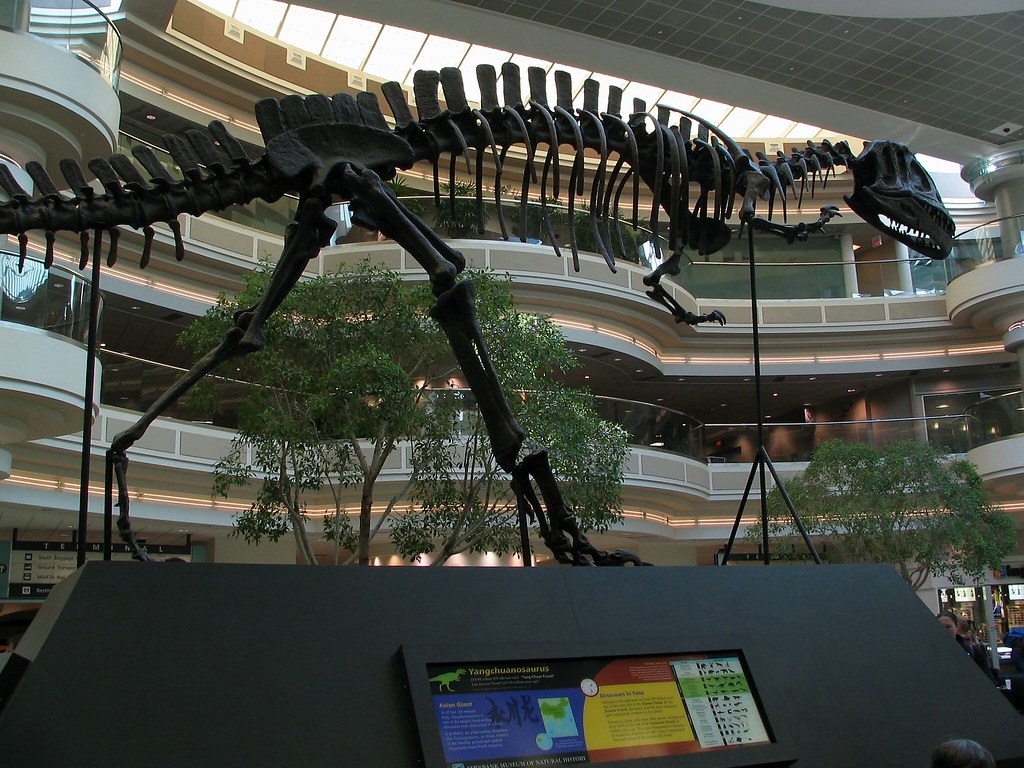 Predator-Prey Relationships and Defense Mechanisms (image credits: flickr)