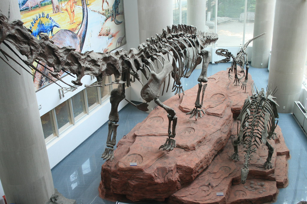 Extinction and Evolutionary Legacy (image credits: flickr)