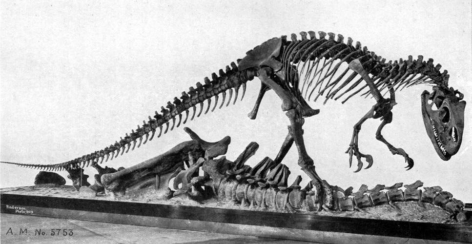 The Birth of a Giant That Never Was (image credits: wikimedia)
