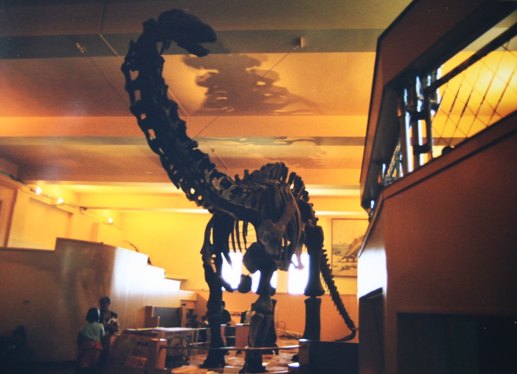 When Science Admits Its Mistakes (image credits: flickr)